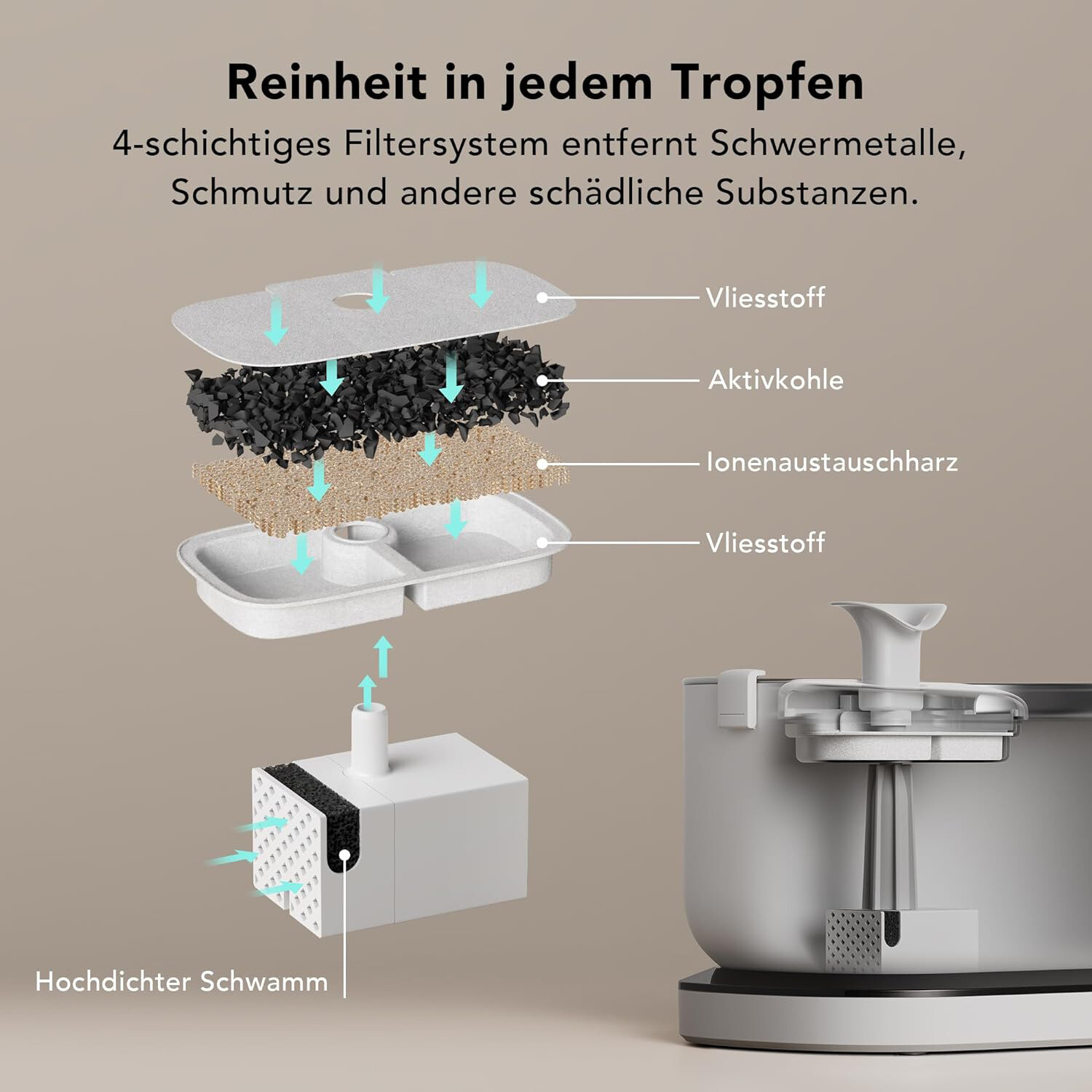 Bild 5 von 9