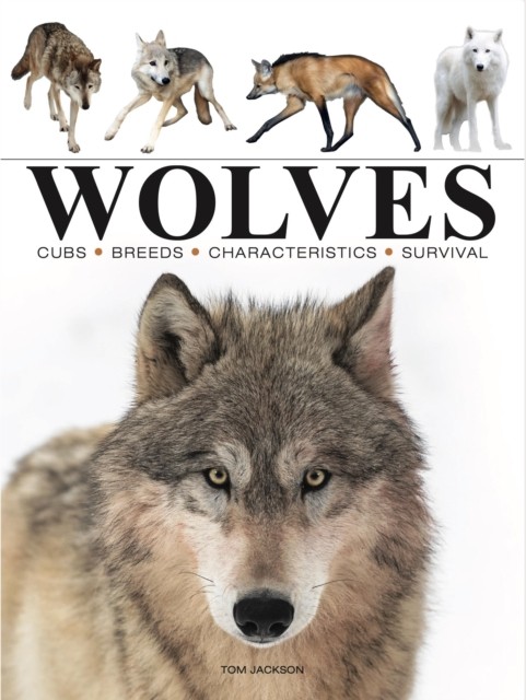 Wolves by Tom Jackson (Paperback Book) - Image 2