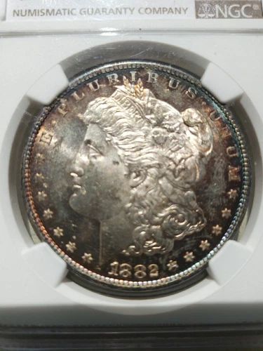 1882-CC S1$ SILVER MORGAN DOLLAR CHOICE NGC MS 63 Proof Like Toned.
