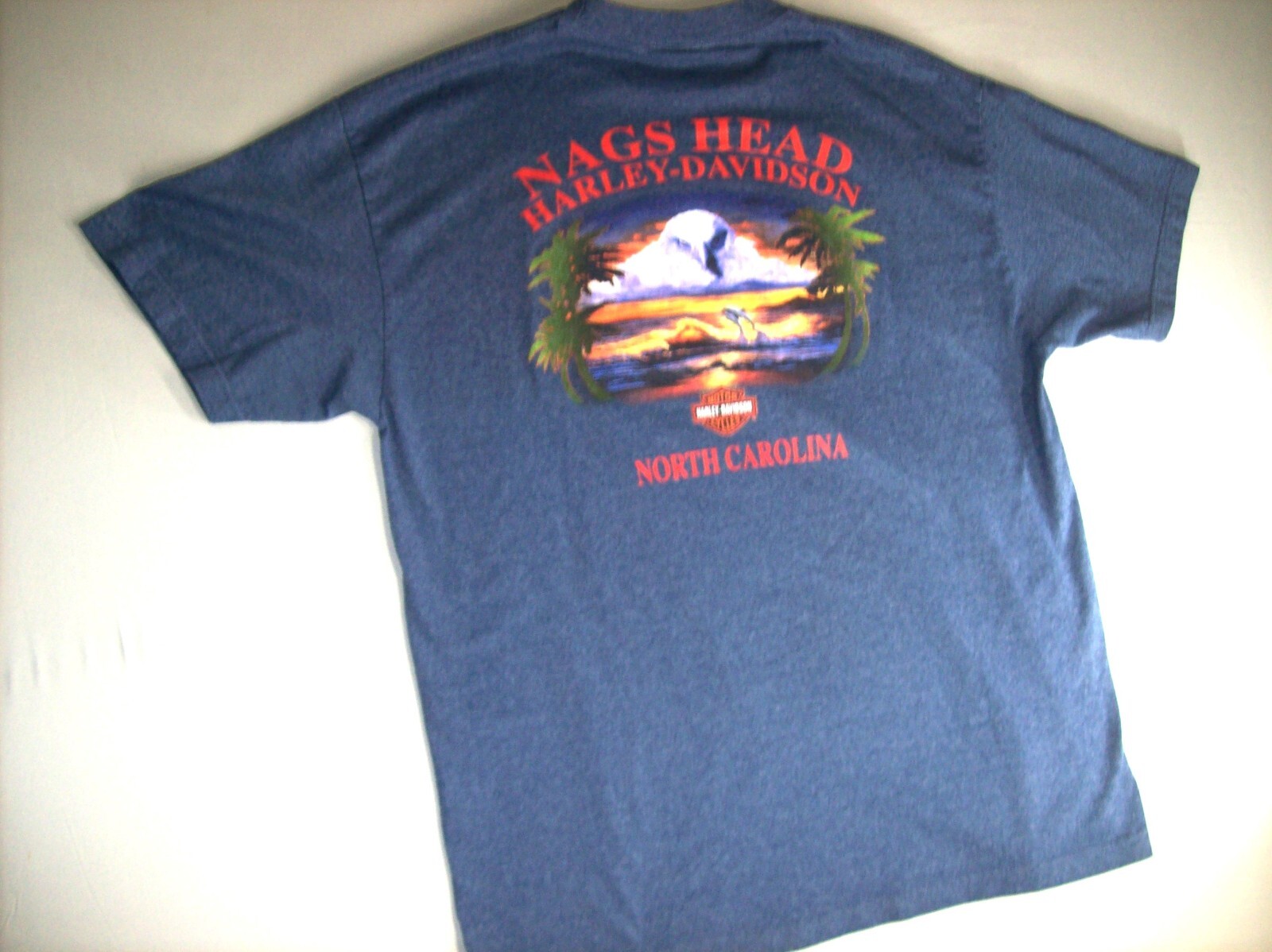 Picture 4 of 6