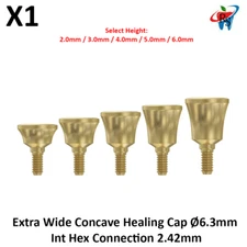 Dental Spident Core-It Dual-Cured Composite Reinforced Structural Material 50gr