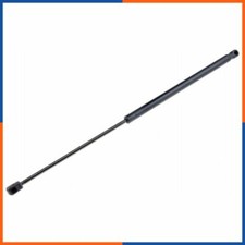 Verin de hayon / de capot Citroen GS