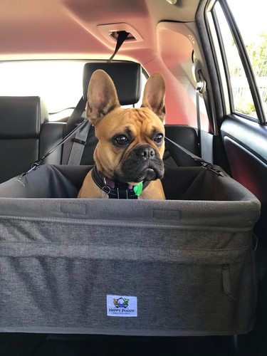 Extra Large dog car seat (XL) - holds 1 or 2 dogs weighing up to 14kgs - Picture 9 of 36