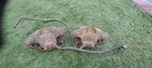<!--F#f_0-->Pair of PBR HQ HJ Holden Front Brake Disc Brake Calipers Monaro Premier HZ HX WB<!--F/-->