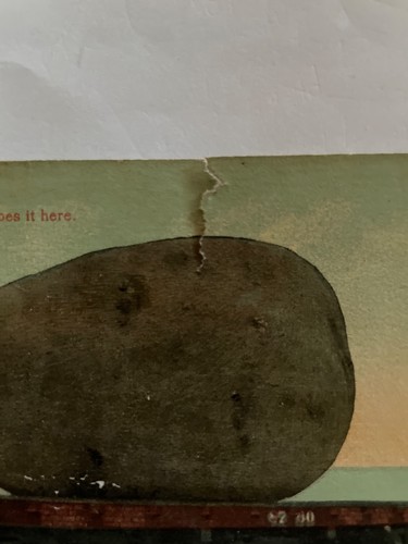 postkarte kartoffel - Bild 2 von 3
