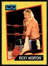 1991 IMPEL WCW RICKY MORTON #99