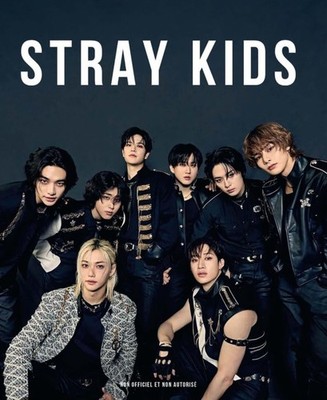 Stray Kids Kids Maxident