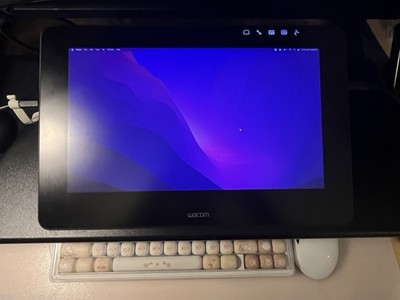 Wacom Cintiq Pro 13 13.3in. Creative Pen Display for sale online