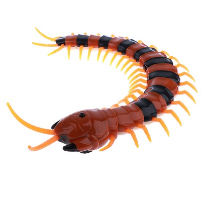 centipede toy remote