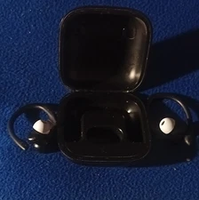 Beats by Dr. Dre Powerbeats Pro In Ear Wireless Headphones - Black