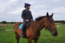 herren base layer top reiten Reitsport