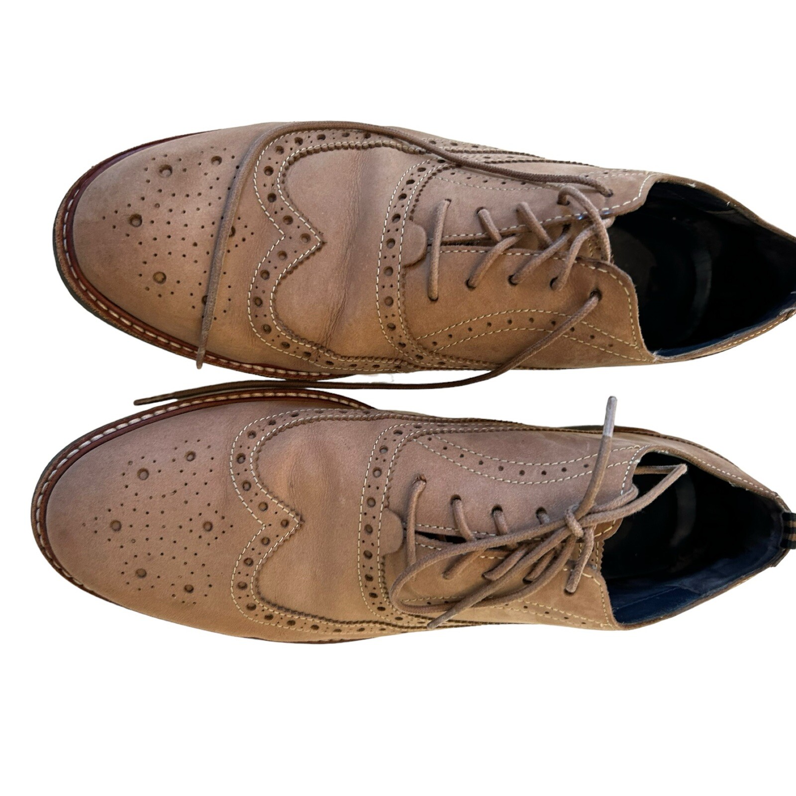 SAOLA Scarpe eleganti Cole Haan Morris Wingtip marrone chiaro nabuk Oxford taglia 10 5 M
