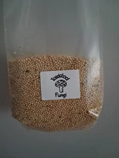 2 pound sterilized grain spawn bags (Millet) mushroom growing