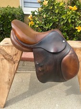 CWD Se01 15.5  1C