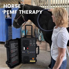 Equine PEMF Therapy Horses Massage Machine PMST LOOP Magnetic Physiotherapy