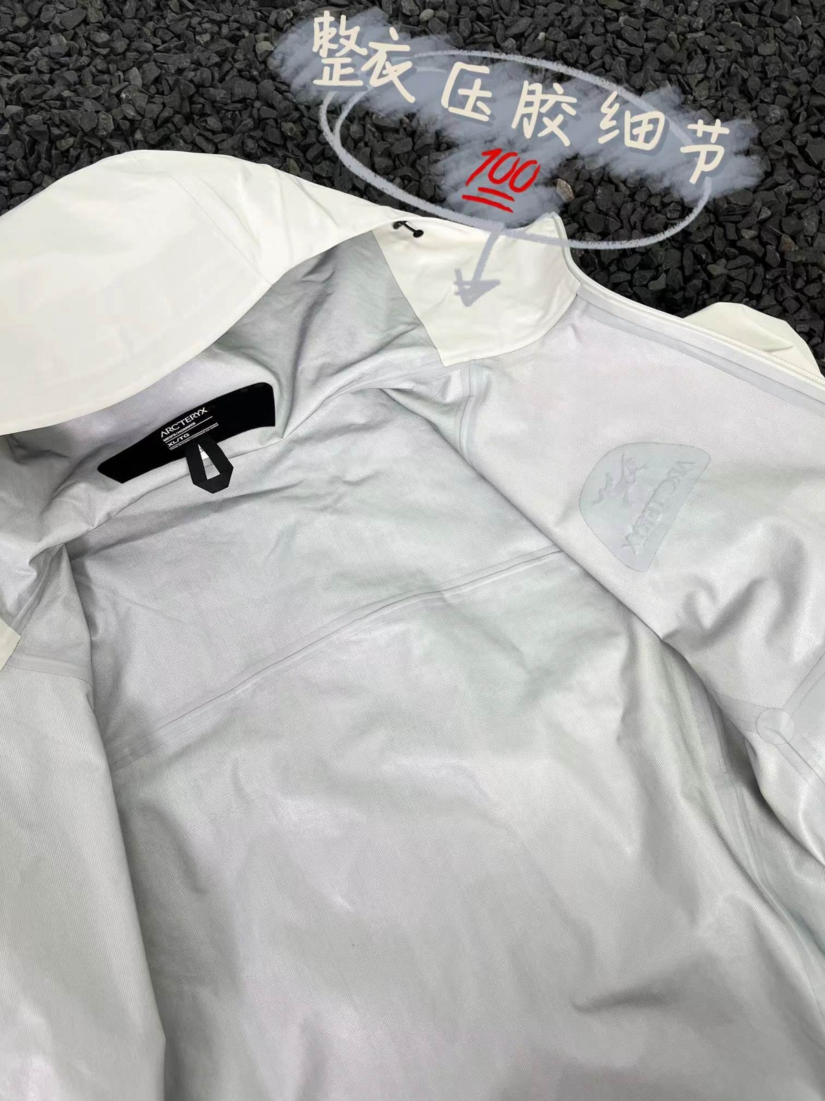 ARC'TERYX Giacca rigida impermeabile per esterni Archaeopteryx GTX SV livello guidato