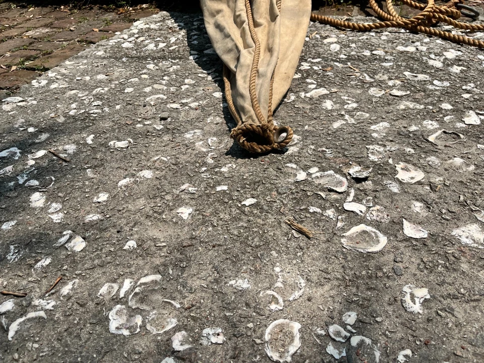 drogue ancla de mar antigua Foto 3 de 4