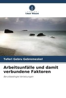 Teferi Gebru Gebremeskel | ArbeitsunfäLle Und Damit Verbundene Faktoren | Buch