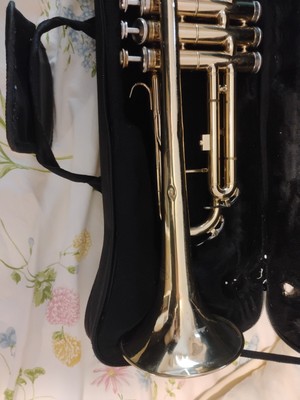 Simba Trumpet