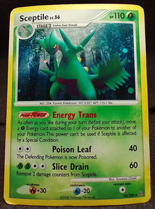 Sceptile Pokemon Card