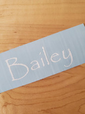 Bailey pet name Sticker Vinyl Decals 8" (2) PAIR white - Dog Cat Pet Puppy FAST