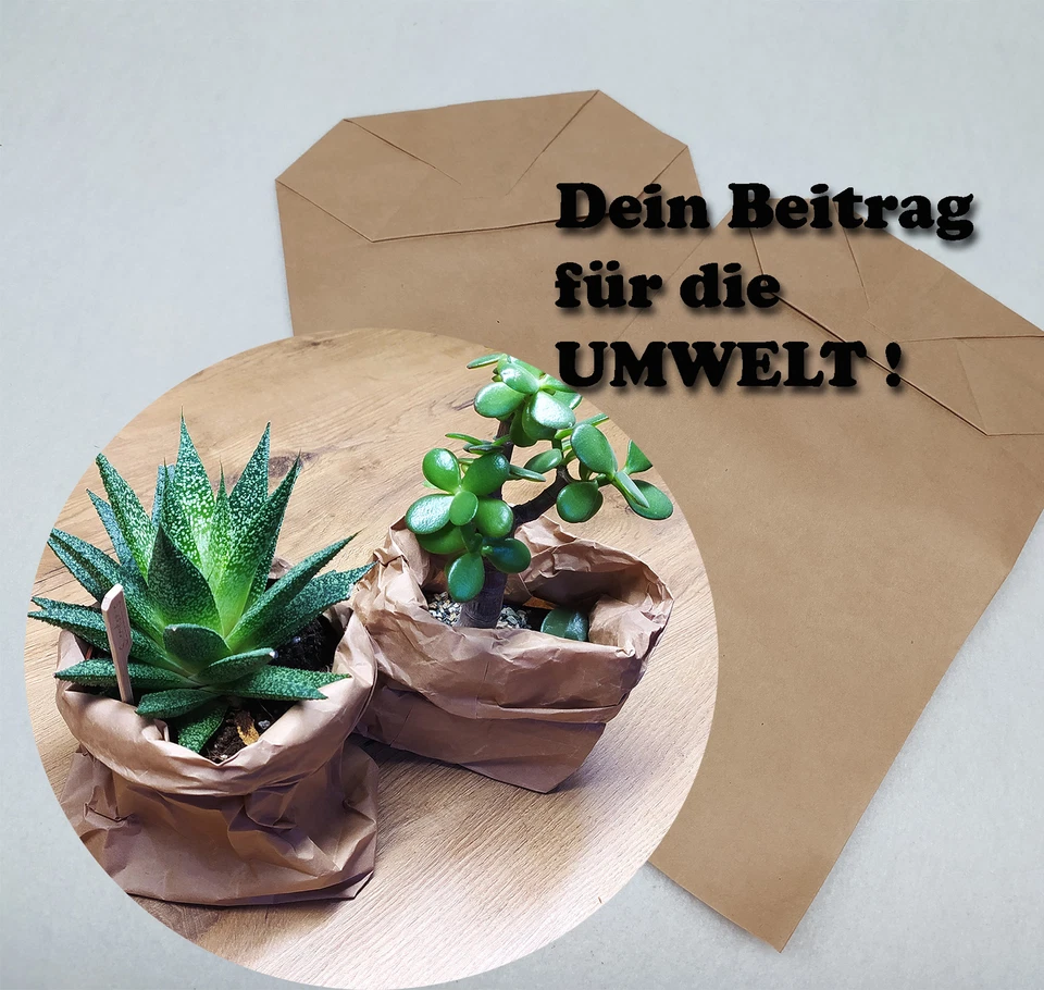 imballaggio 25 - 5000 sacchetti di carta sacchetti fondo incrociato sacchetti carta kraft - Immagine 4 di 4