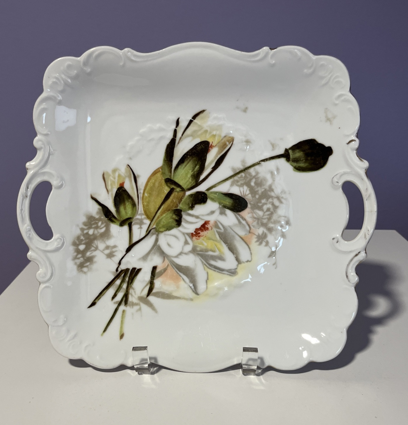 Vintage Moschendorf Bavaria Magnolia Floral Art Nouveau 9.5