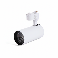 Led-Track-Strahler 30W Einphasig Weiß 3CCT 3000K 4000K 6000K 2740LM ET-21663