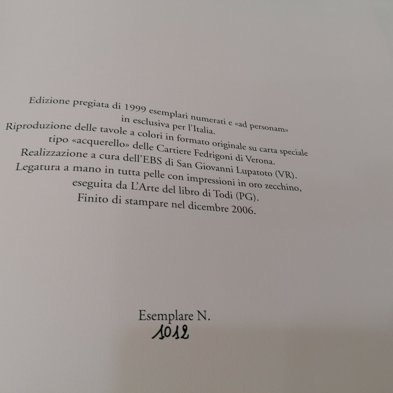 Foto 7 di 8