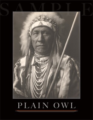 8.5x11 Vintage Native American ''PLAIN OWL'' Fine Art Print Picture Poster Man Old