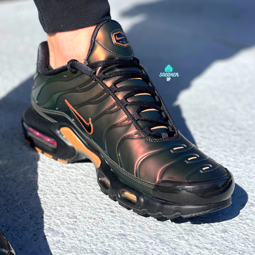 scarab tns
