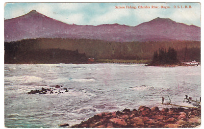 Columbia River Oregon Short Line Railroad Vintage Postcard ~ Salmon Fishing