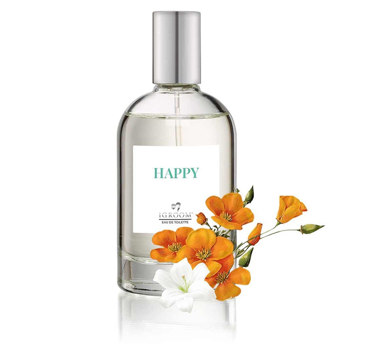 Dog Perfume 22 Favorite Classic Chic Scents to Choose from Pro Canine Colognes