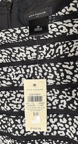 Ann Taylor Dress Size 10 Sheath Sleeveless Lined Layered Office Work Party - Picture 13 of 20
