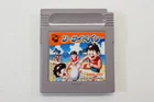 Seaside Volley Volleyball Nintendo Gameboy GB Game Boy Japan Import US Seller