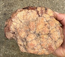 4.5 Lbs Ammonite Cephalopod Fossil Geode Indiana Solid Clear Quartz Crystal Red