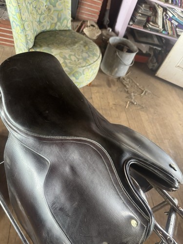 Blue Ribbon Cutback Saddle