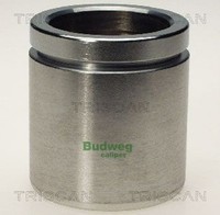 Triscan Kolben Bremssattel 8170 235461 FüR Seat Skoda VW Audi 54Mm Stahl Golf 4