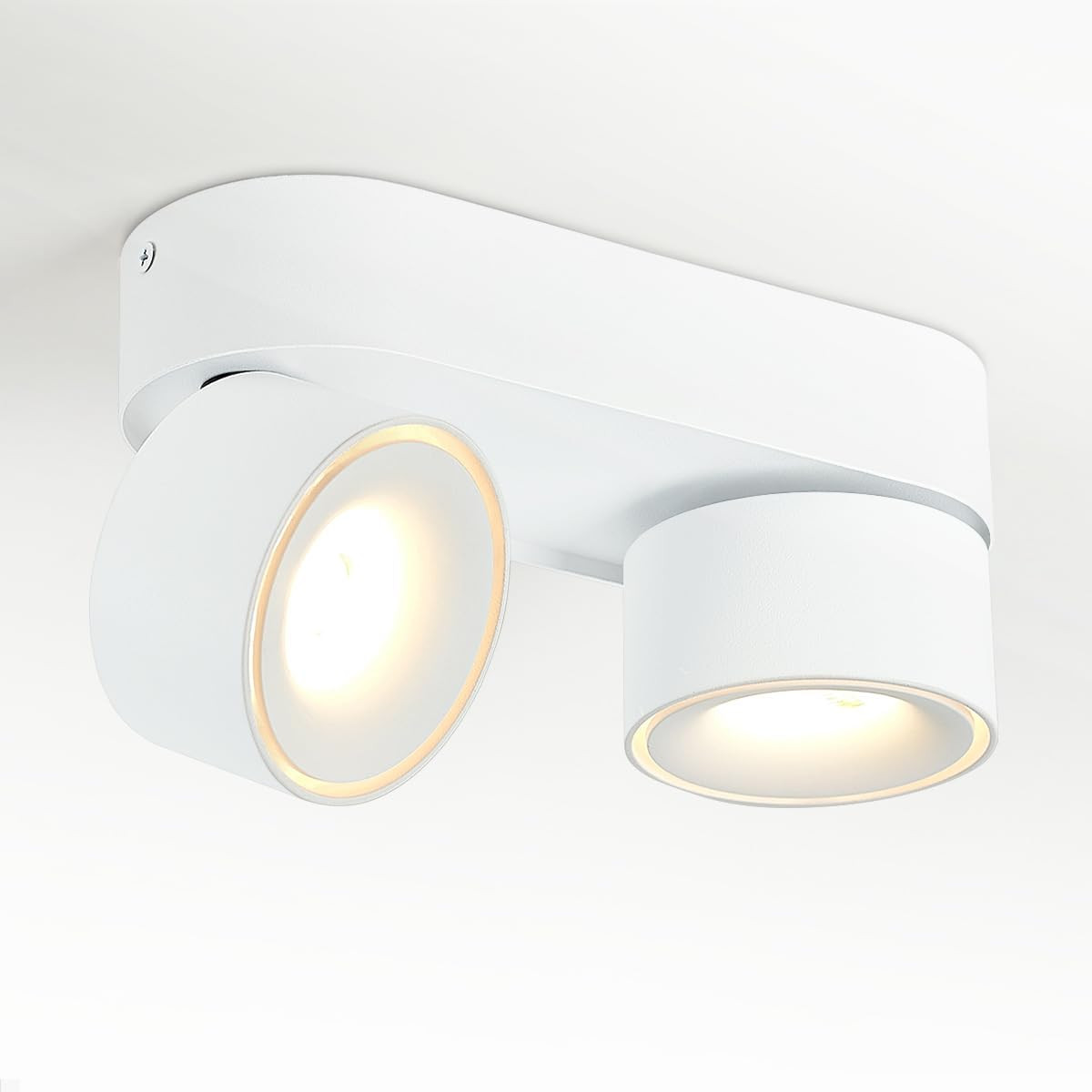 Look Industrial Chic: Plafoniera LED 2x12W Regolabile per Casa
