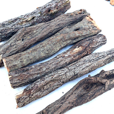Diamond Willow Blanks for Carving Woodworking Projects Lot of Craft Wood