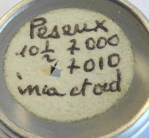 PIECE HORLOGERIE MONTRE PESEUX 11 320 339 UN AXE