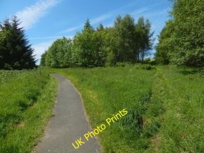 Photo 6x4 Path in Garscadden Wood Bearsden Large-scale OS mapping shows t c2015