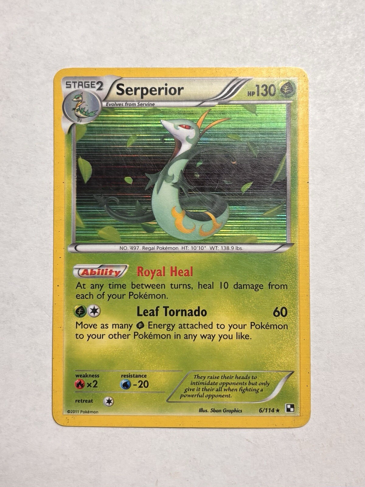 Pokemon 2011 Moderate Play Serperior Black & White 6/114 Holo Card MP/LP