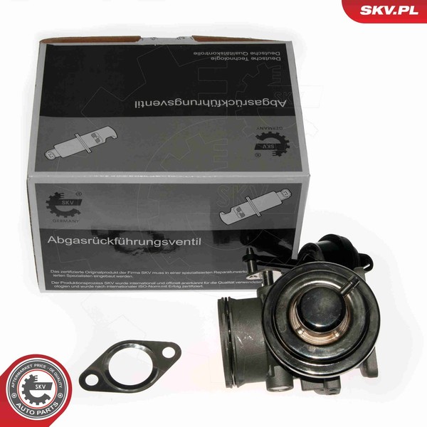 AGR Ventil Esen SKV 14SKV090 FüR NEW 1C1 9C1 Beetle VW TDI-image
