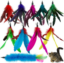 Cat Feather Toys Refills, 10 Pieces Cat Wand Replacement Feathers Toy for Indoor