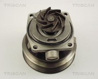 Triscan Wasserpumpe 8600 10006 FüR CitroËN Fiat Peugeot
