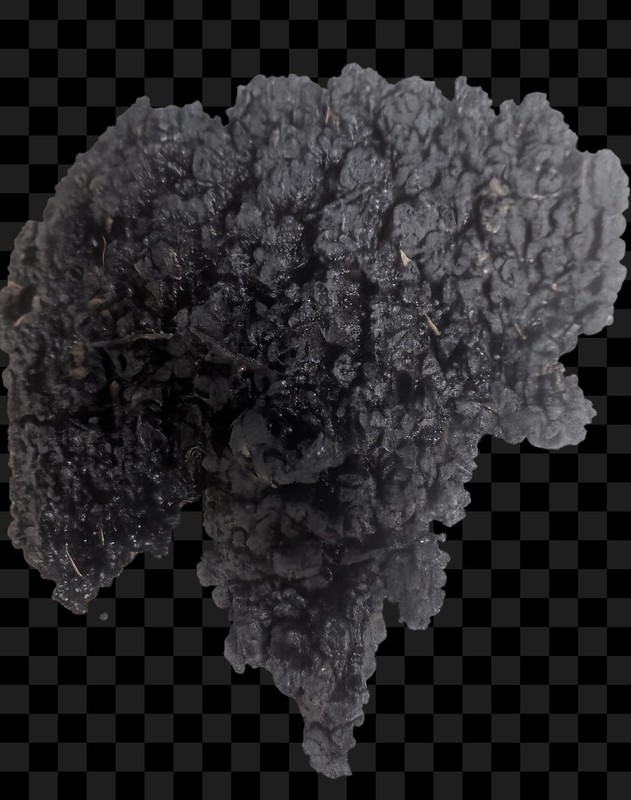 Raw Rocky Mountain Shilajit 