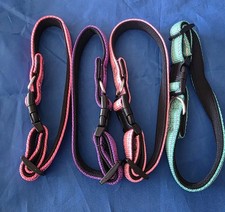 4 Nylon Dog Collar Small Adjustable Strong Collars Soft Padded Dogs 8"-14"