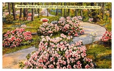 Postcard HIGHWAY SCENE Macon Georgia GA o/19 AR6392