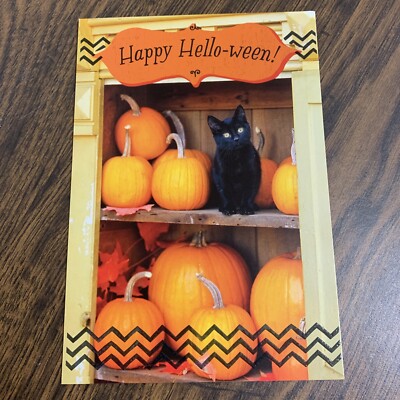 Happy Halloween Hello-ween Pumpkin Black Cat 5”x7” Hallmark